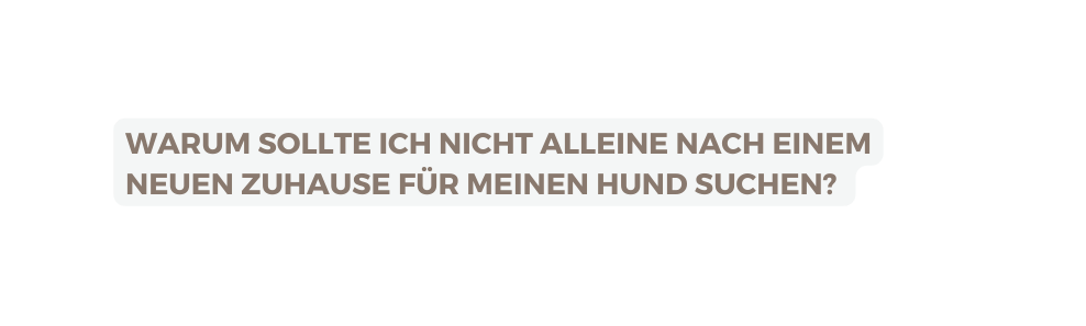 Warum sollte ich nicht alleine nach einem neuen Zuhause für meinen Hund suchen